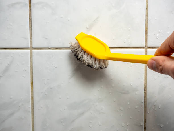 Best Mold Damage Repair  in El Cerro, NM