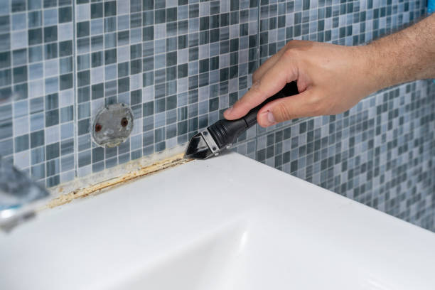 Best Mold Removal and Inspection  in El Cerro, NM
